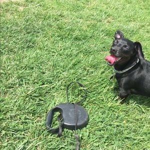 Meet your Posher, Sophie